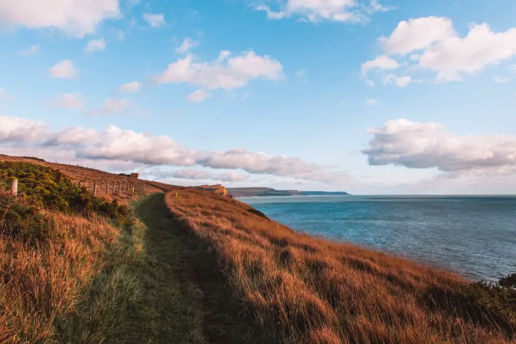 A grass trail on the clifftop with the blue sea to the right on the hike from Lulworth Cove.