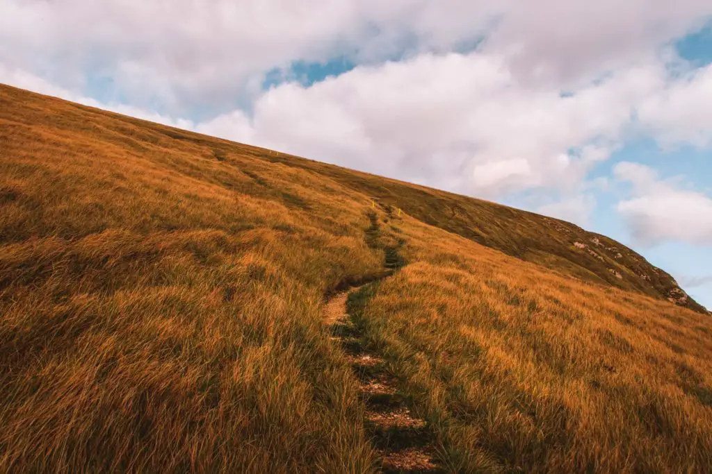 A steep hill of green/orange grass with a small trail leading up it along the Lulworth Cove hike.