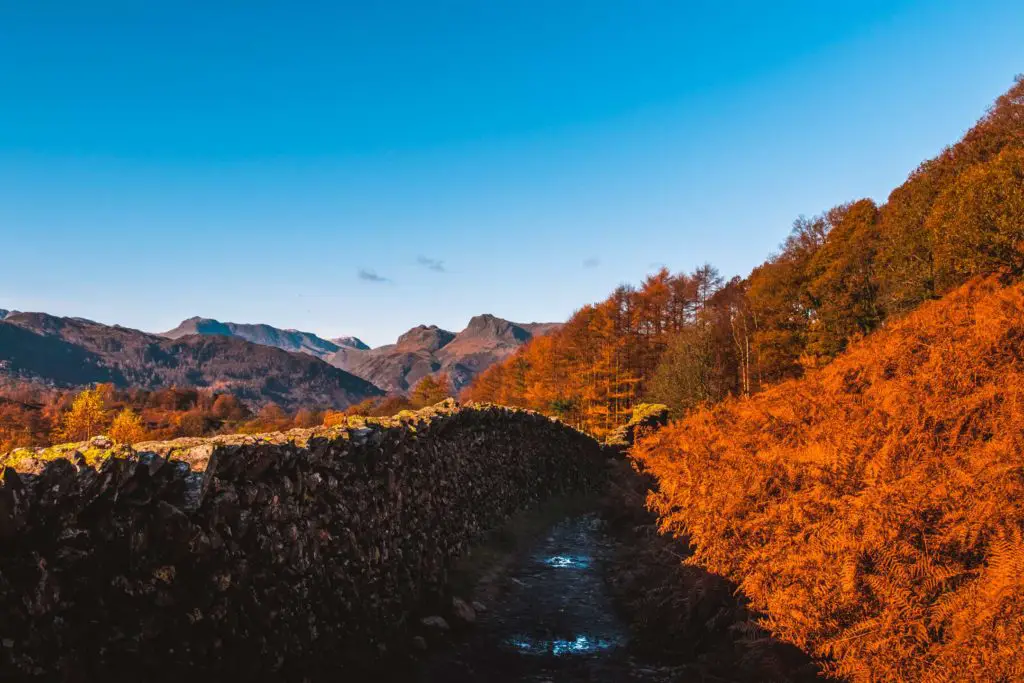 The trail with a stoned wall to the left and orange foliage to the right on the walk to Loughrigg Tarn. There are mountains and blue sky in the distance.