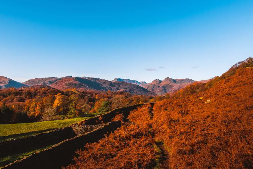 Orange foliage with a view of the mountains in the background on the circular walk from Ambleside to Loughrigg Tarn and Elterwater.