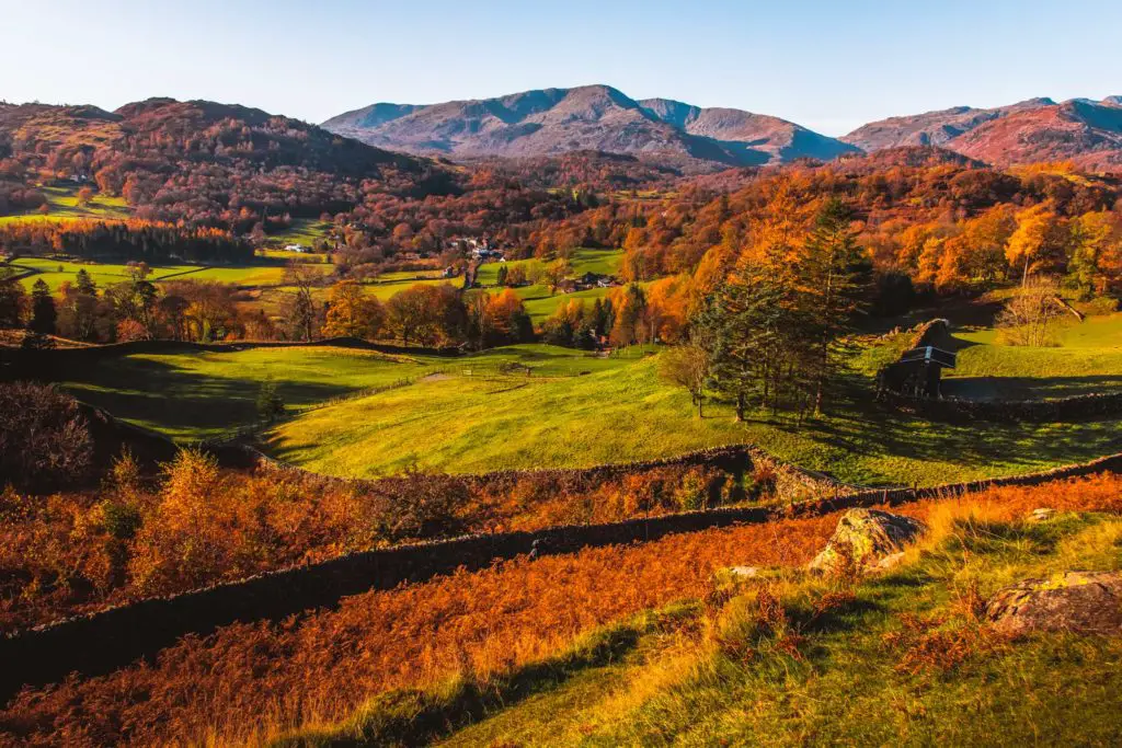 A view of fields of green and orange and lots of trees with mountains in the background on a walk in the Lake District. 