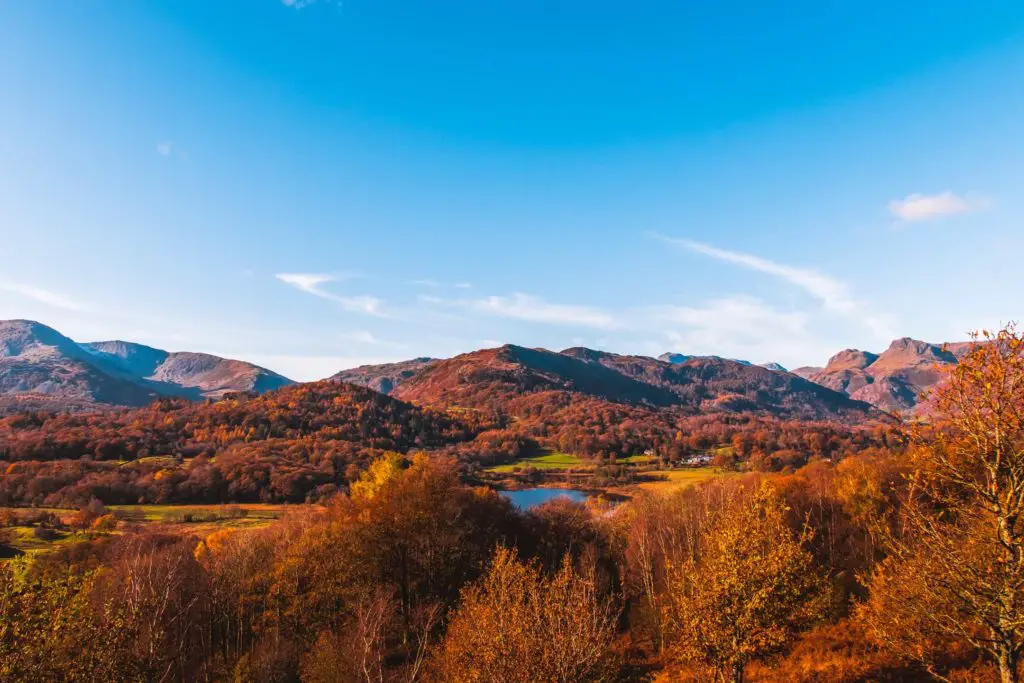 A view down to the valley surrounded by green fields and orange coloured trees with mountains in the background on a sunny day in the Lake District.