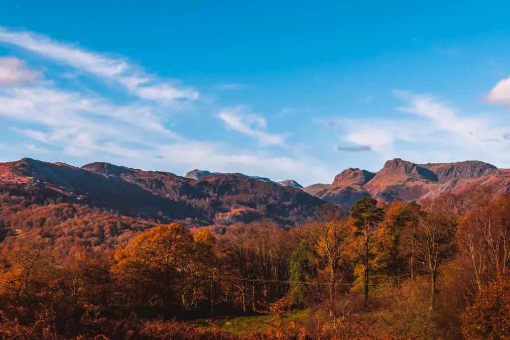 Lots of trees with mountains in the Distance in the Lake District. 