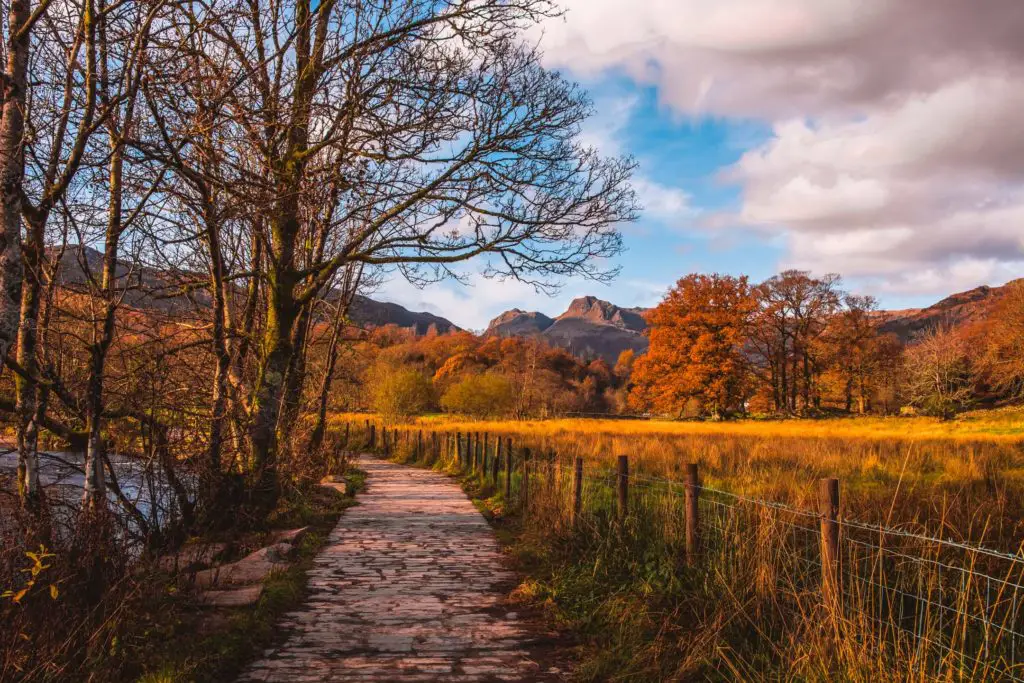 A stone path on the Elterwater walk with mountains and trees in the distance.
