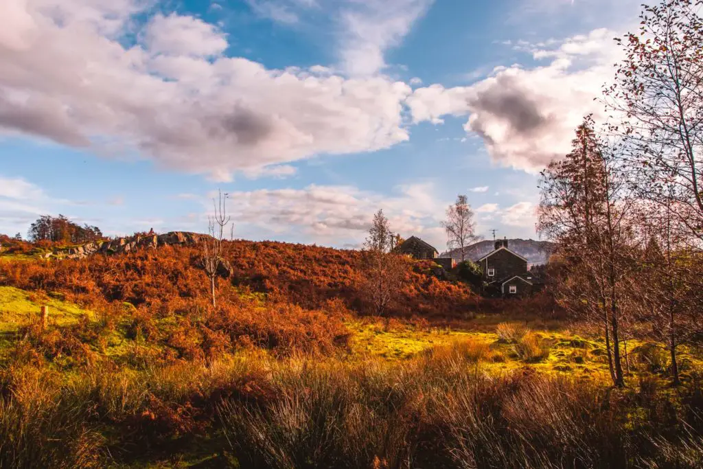 A small home with dark coloured walls sounded by green and orange coloured fields and leafless trees.