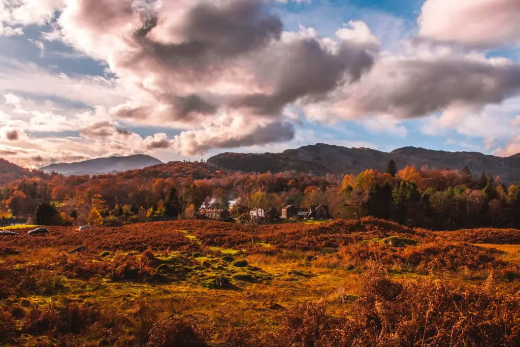 A view in the Lake District of a fields and lots of trees and mountains in the background. The sky is blue and filled with bright fluffy clouds.