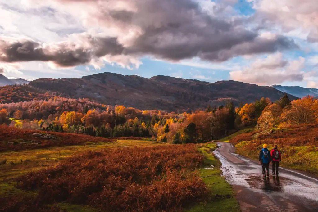 A road with two people walking along it with a green and orange field either side and a view of trees and mountains in the distance.