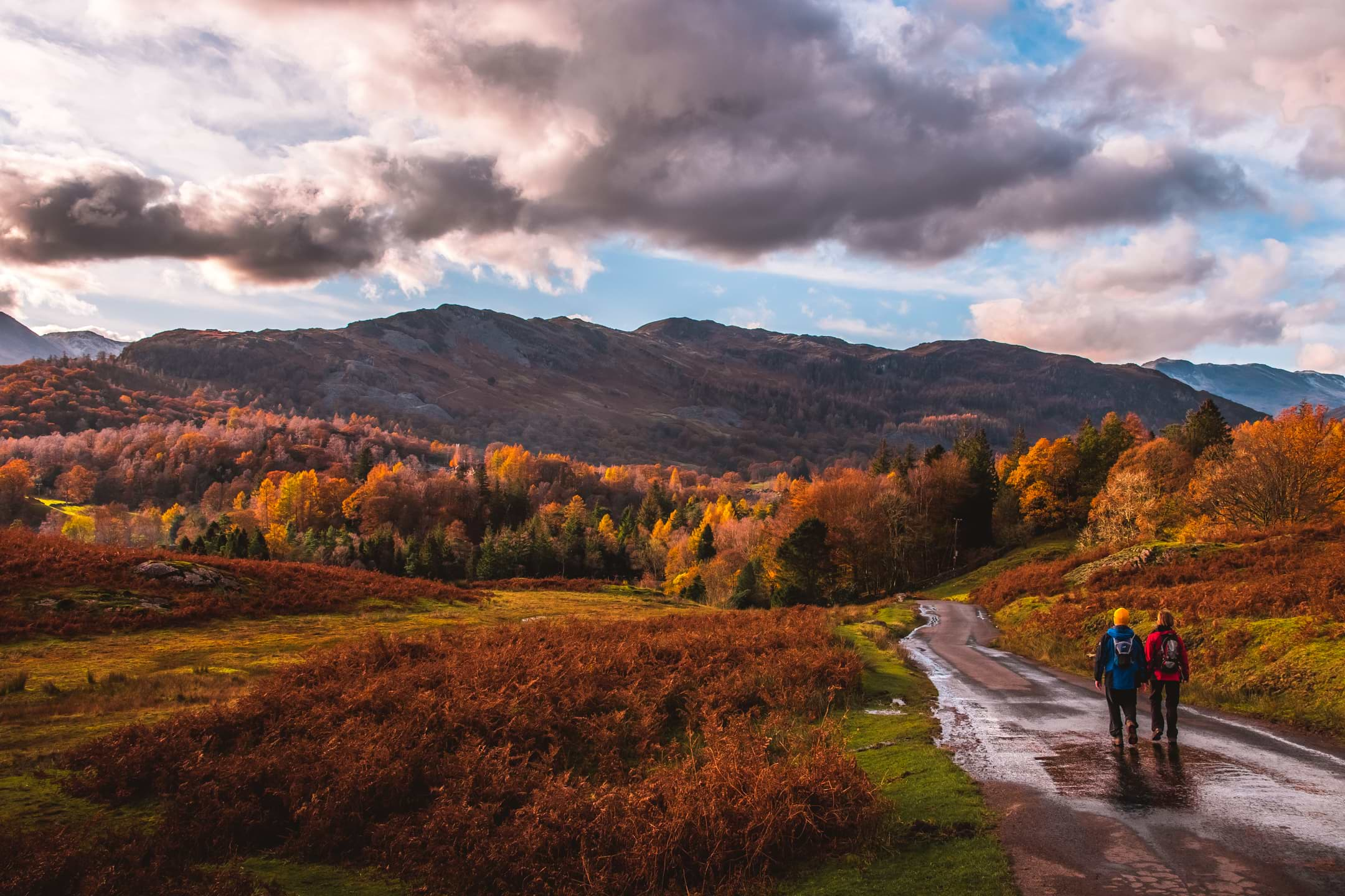 Circular walk from Ambleside to Elterwater via Loughrigg Tarn - She ...