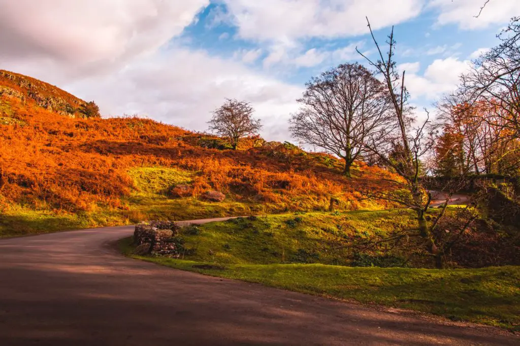 The winding road on the Ambleside to Loughrigg Tarn and Elterwater walk.