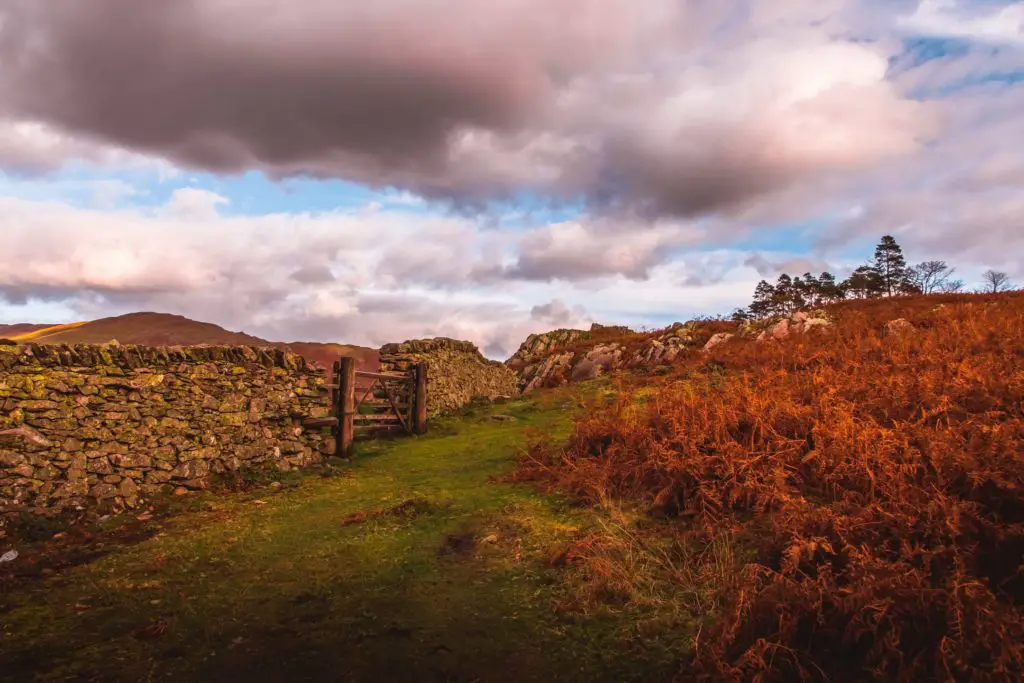 The green grass trail with a stone wall on the left on the circular walk from Ambleside to Elterwater and Loughrigg Tarn.