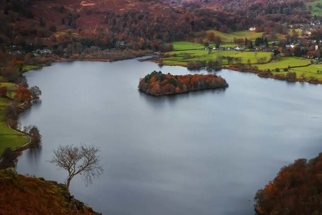 A view down to Grasmere with a leafless tree perched on the edge of the hill.