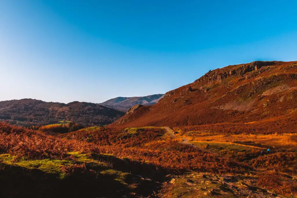 The orange coloured and green tree covered hills in the Lake District on the walk from Ambleside to Loughrigg Tarn and Elterwater. The sky is bright blue.