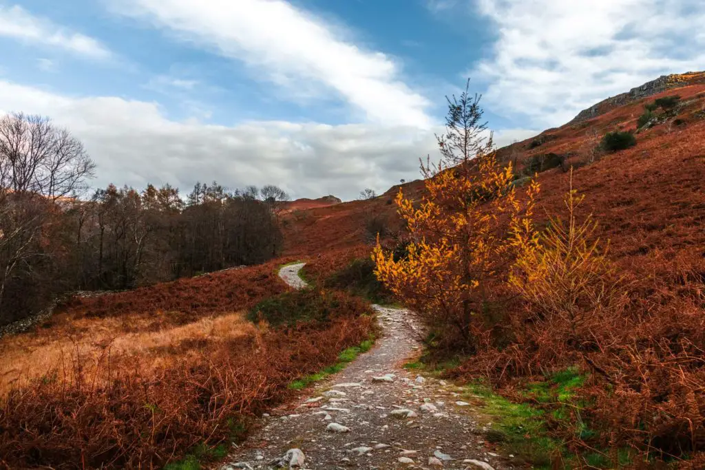 A winding trail heading back to Ambleside after the walk to Elterwater. The landscape is orange and green during Autumn.