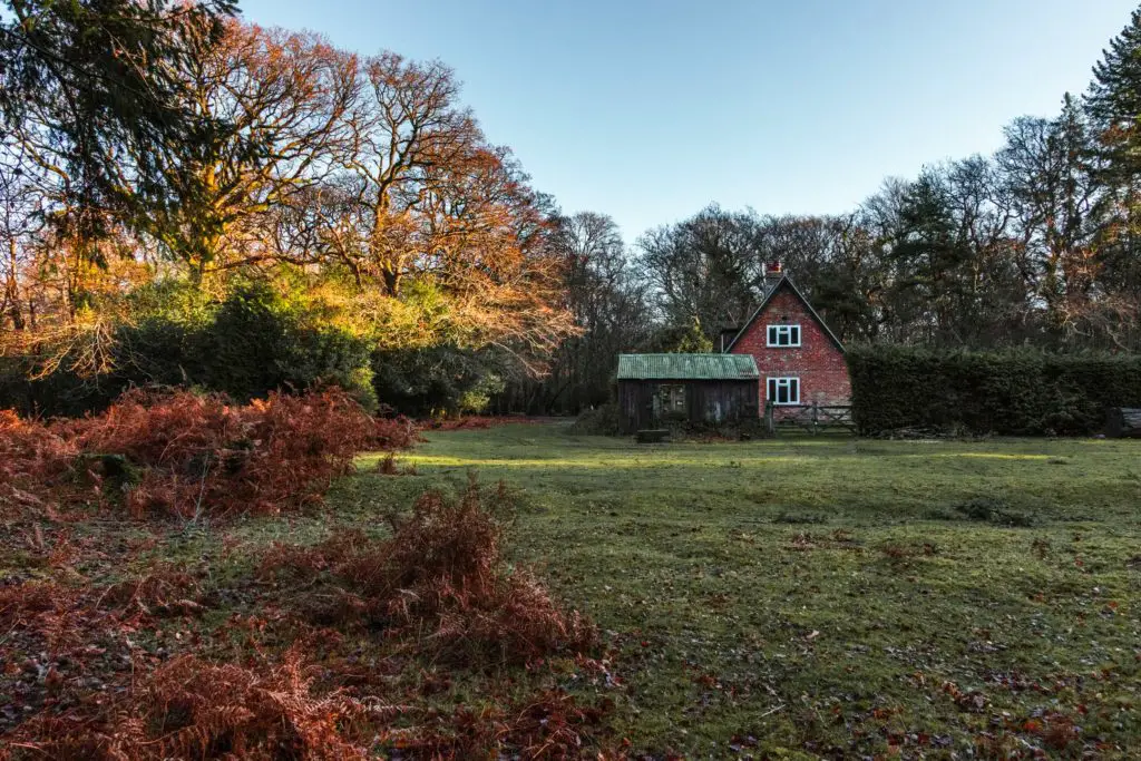 A small house on the other side of a small green field in the New Forest.