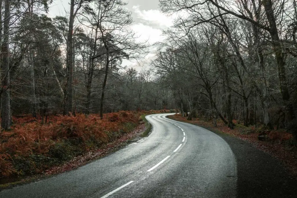 A winding road surrounded by woodland on a gloomy day.