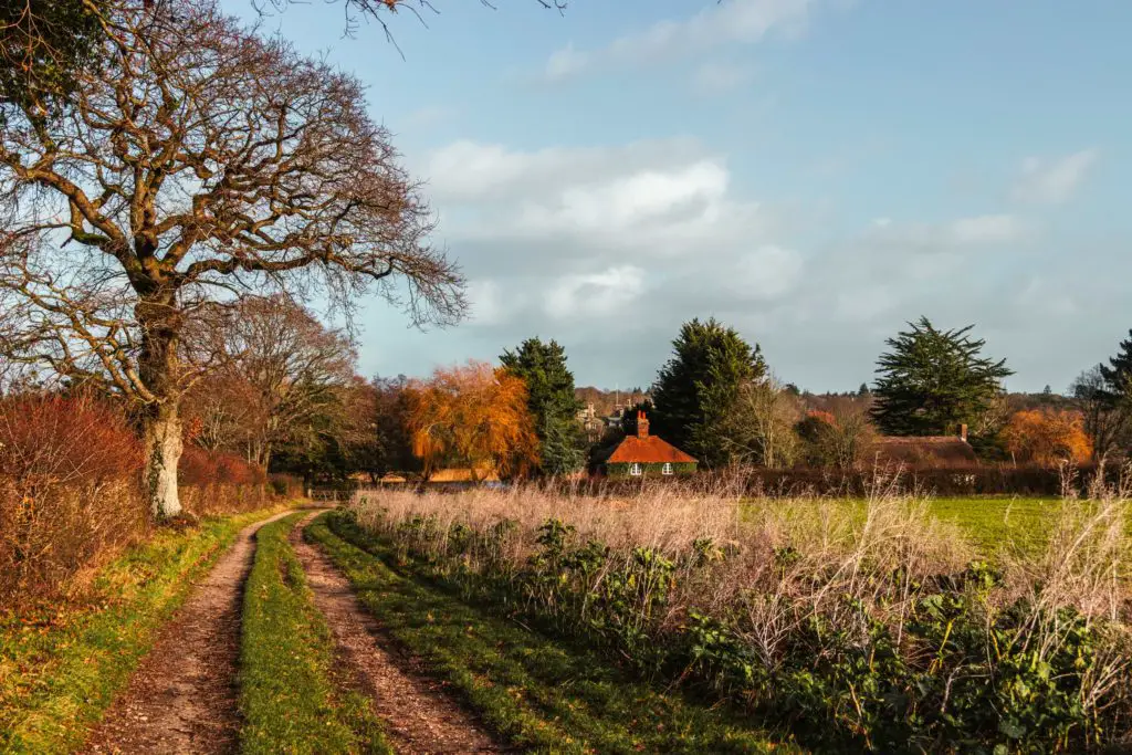 A trail leading into Beaulieu in the new forest. 