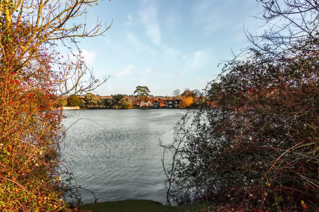 A view through some bushed to the lake and houses on the other side in Beaulieu. 