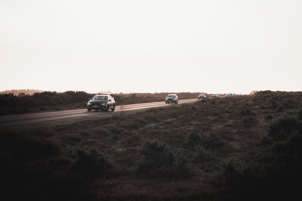 Cars driving along a road in the New Forest. 