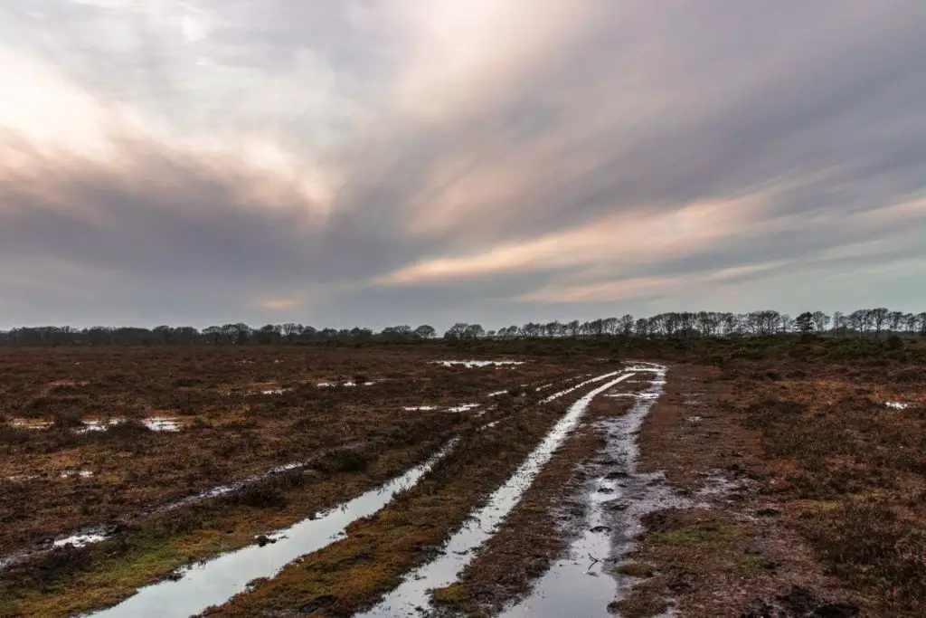 A water filled trail on marshland on the walk from . Brockenhurst to Beaulieu. 