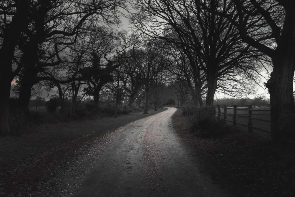 A winding trail at night in the New Forest, on the walk from Brockenhurst to Beaulieu.