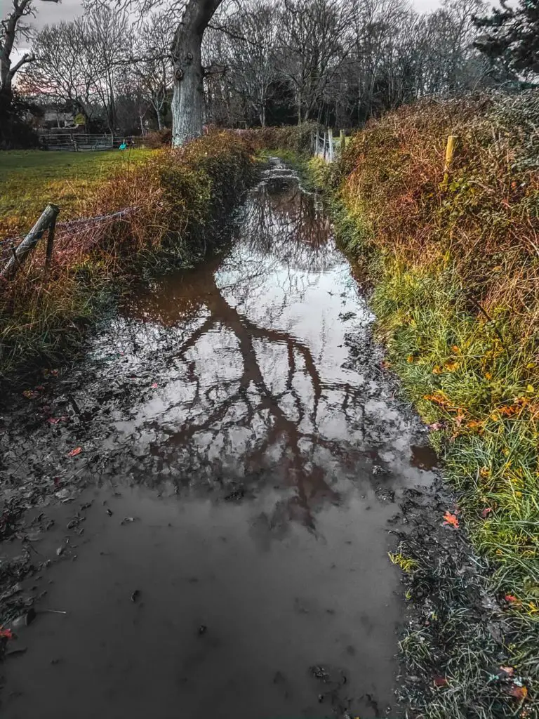 A trail field in with a large puddle of mud and water.