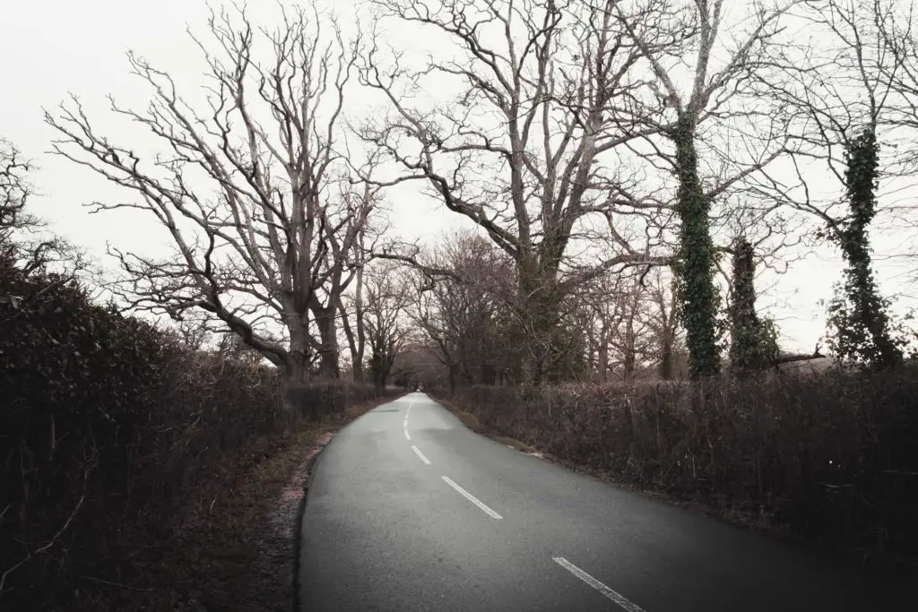 A long road with hedges and leafless trees on either side at the start of the walk from Brockenhurst to Beaulieu. 
