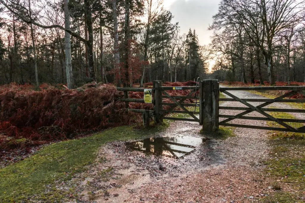 A gate with a puddle under it on the walk from Brockenhurst to Lyndhurst in the New Forest.