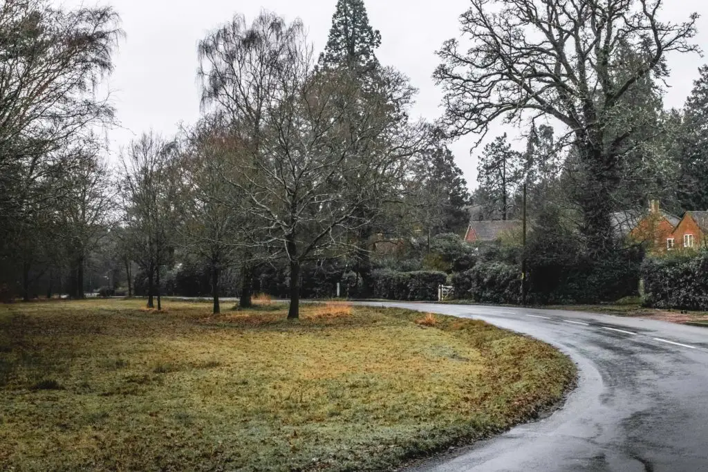 A residential road curving around a green grassy area. There are a few leafless trees and some homes visible behind bushes.