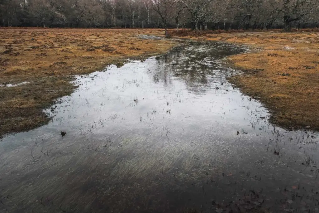 A stream of water in the middle of the field on the walk from Ashurst to Lyndhurst. 