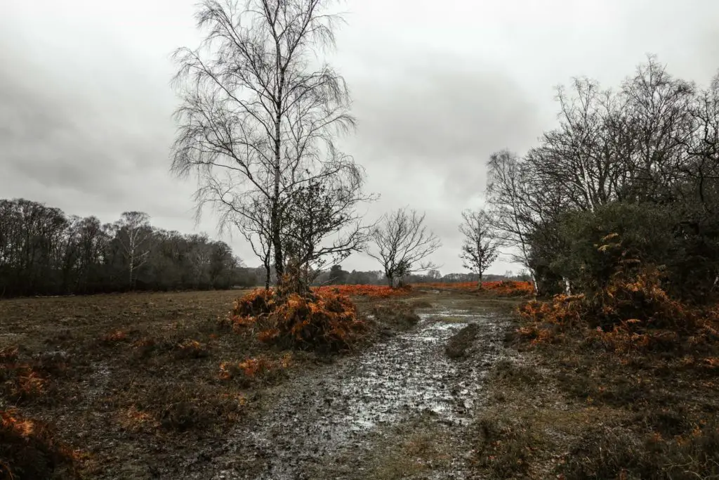 A wet muddy trail leading through an open field on the walk from Ashurst to Lyndhurst. It is an overcast day.