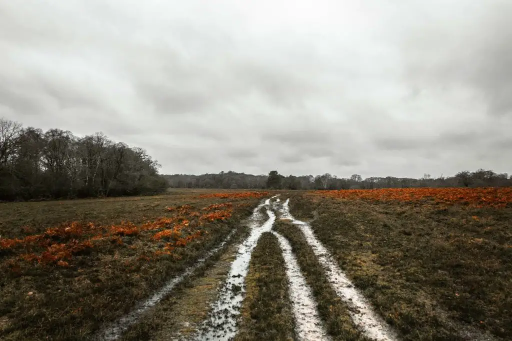 A walking trail made up of 4 lines running through a green field on the walk from Ashurst to Lyndhurst in the New Forest. There are orange patches in the grass. It is an overcast day.