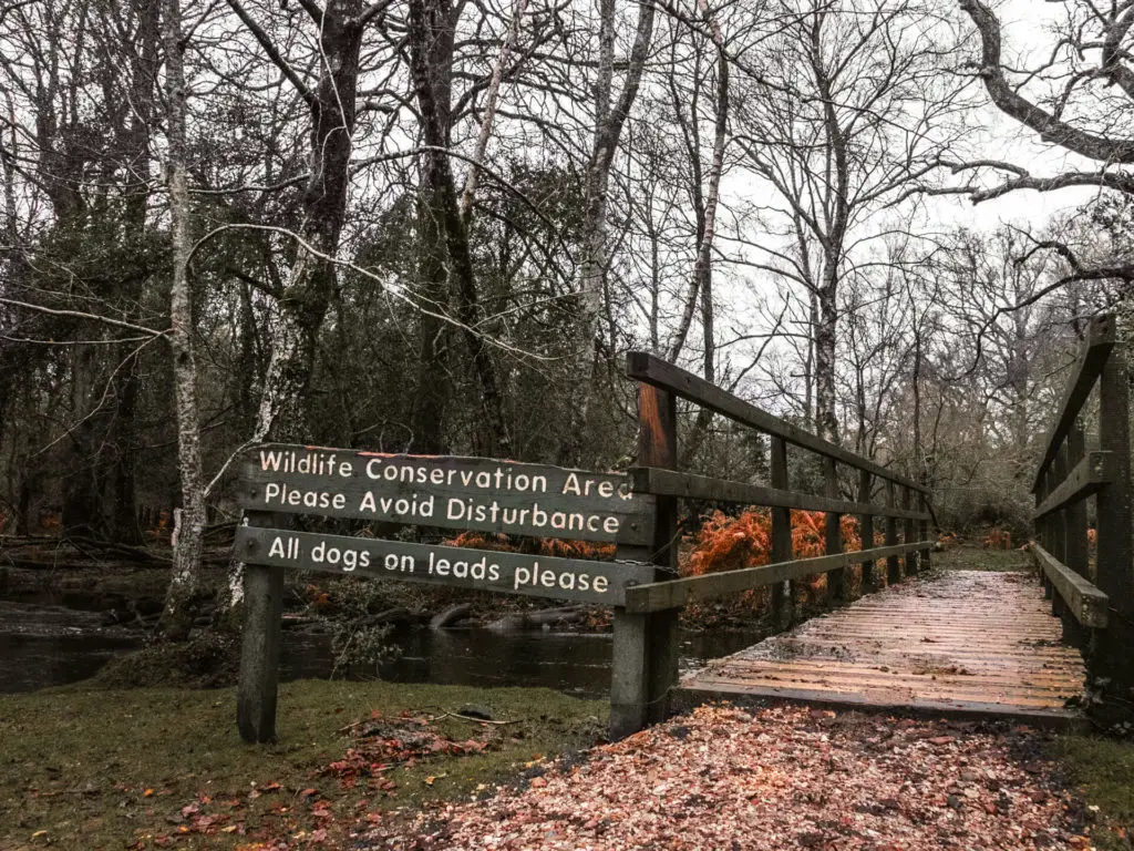 A wooden bridge with signage pointing to the wildlife conservation area in the New Forest.