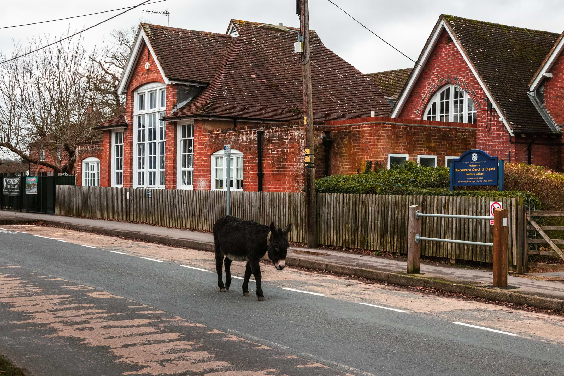 A Guide To The Circular Brockenhurst Village Walk - She walks in England