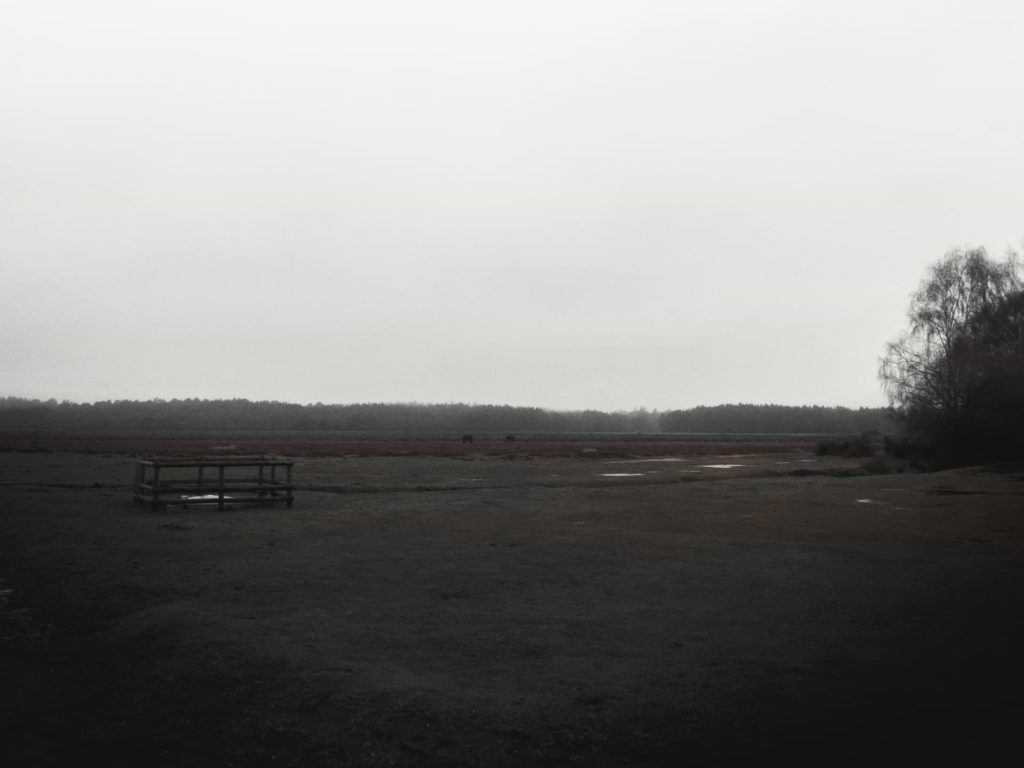A large green field in the New Forest on a foggy day.
