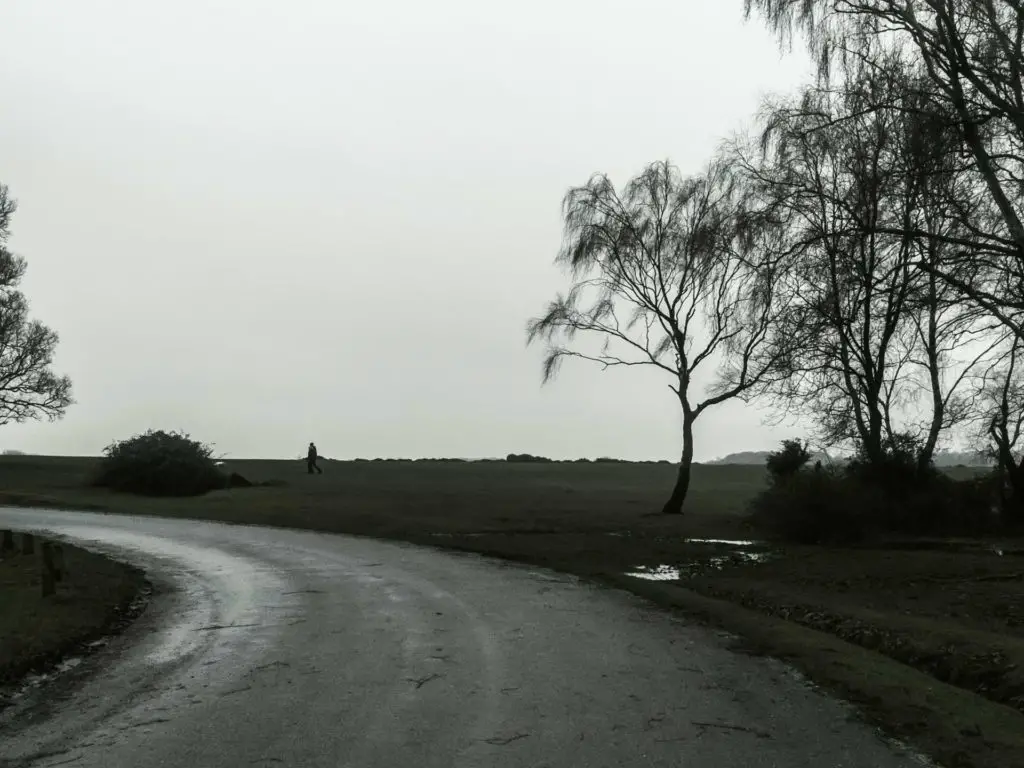 A road curving to the left next to a field. There is a man walking in the field. It's a foggy day.