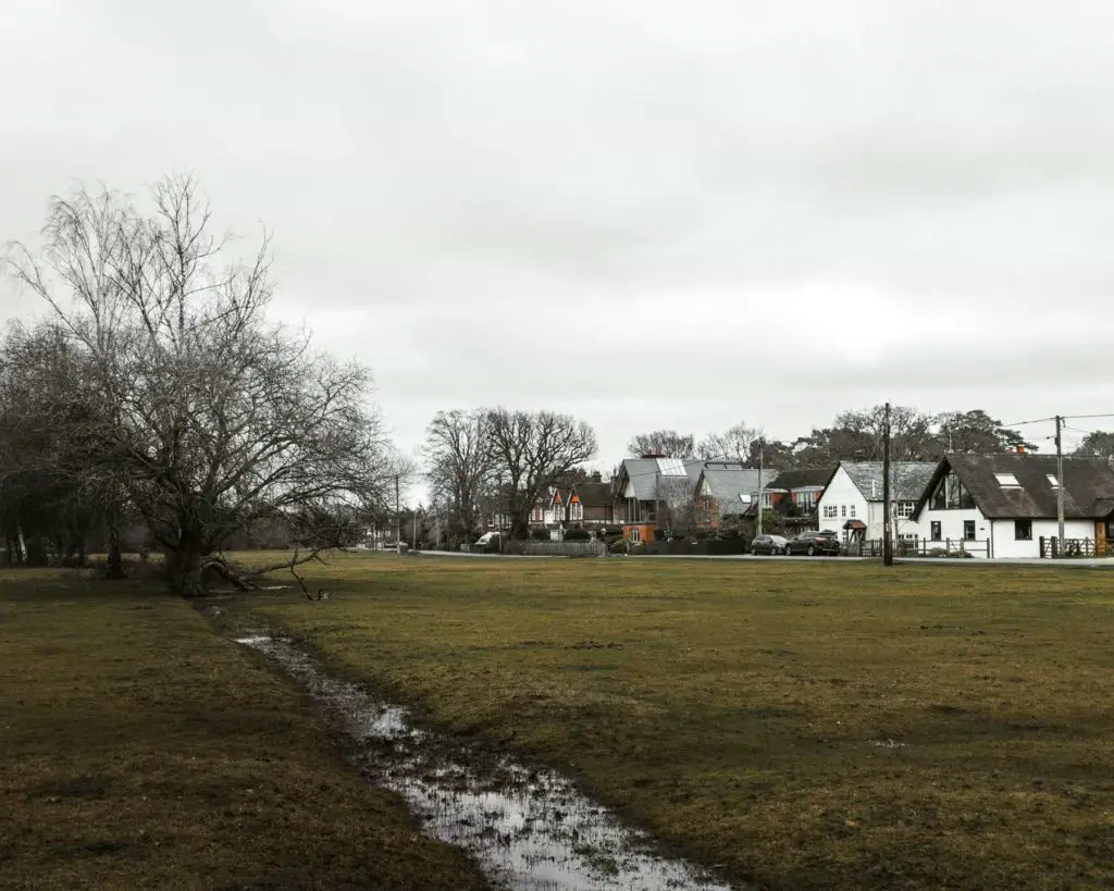 A stream of water running through the green field at the start of the circular walk around Brockenhurst village. There is a row of houses on the right side of the green.