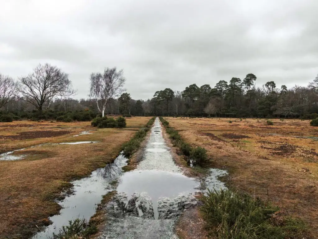 A long straight trails running through the field at the start of the circular walk around Brockenhurst village. It is an overcast day and the trail has puddles of water.