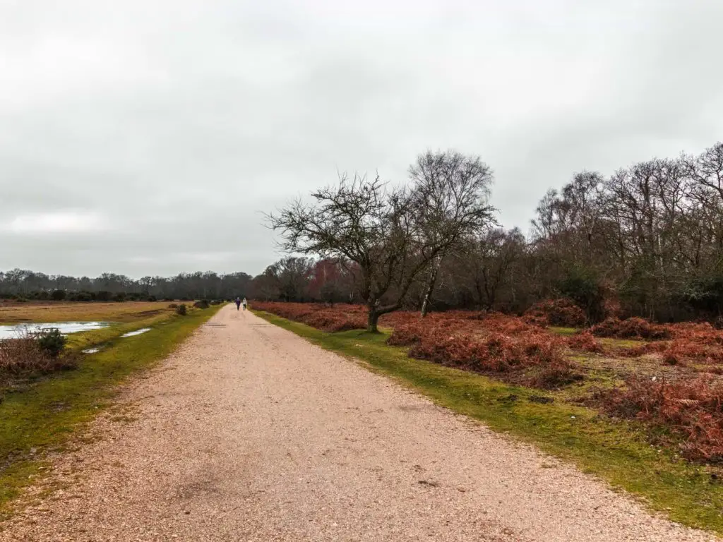 A long gravel trail on the Brockenhurst village circular walk.