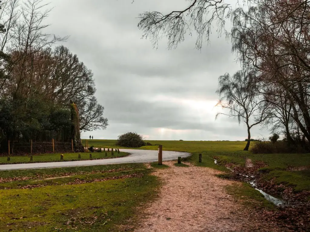 A dirt trail leading to asphalt road on the circular walk around Brockenhurst village.