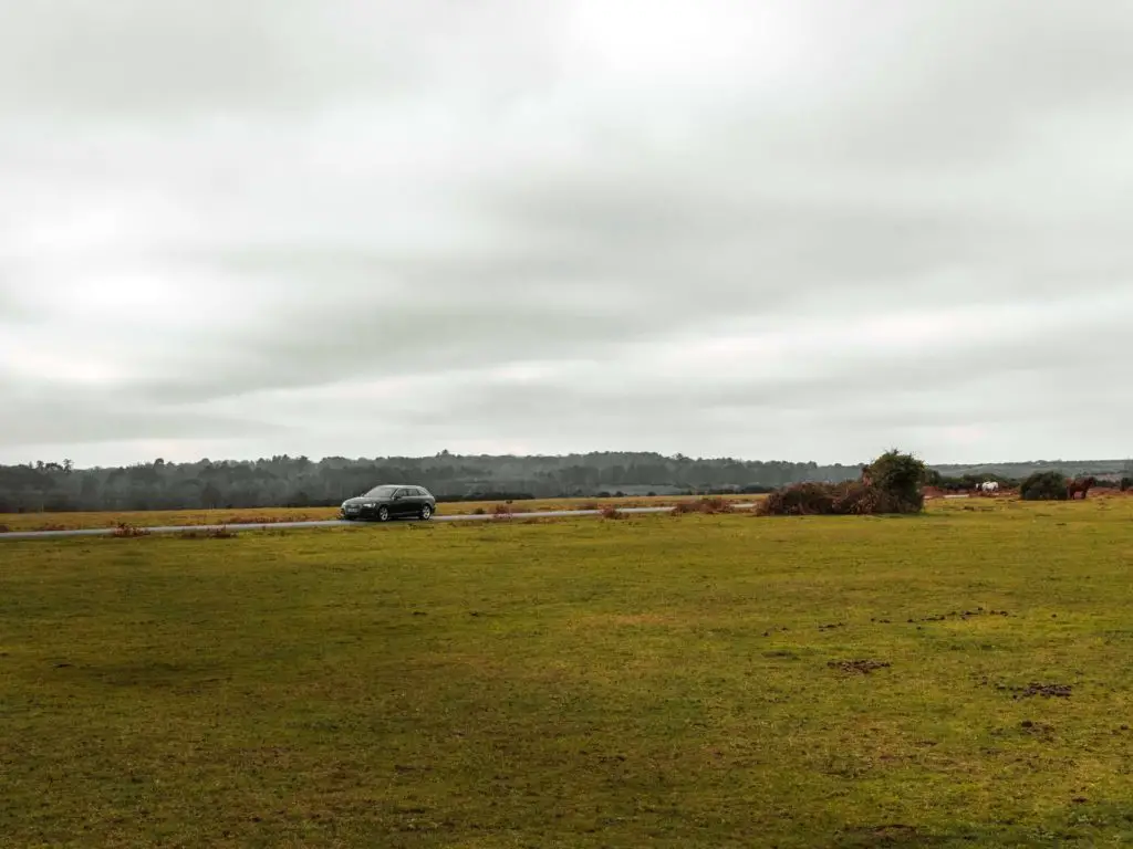 A green field with a road running through it and a car driving on the road in the New Forest.