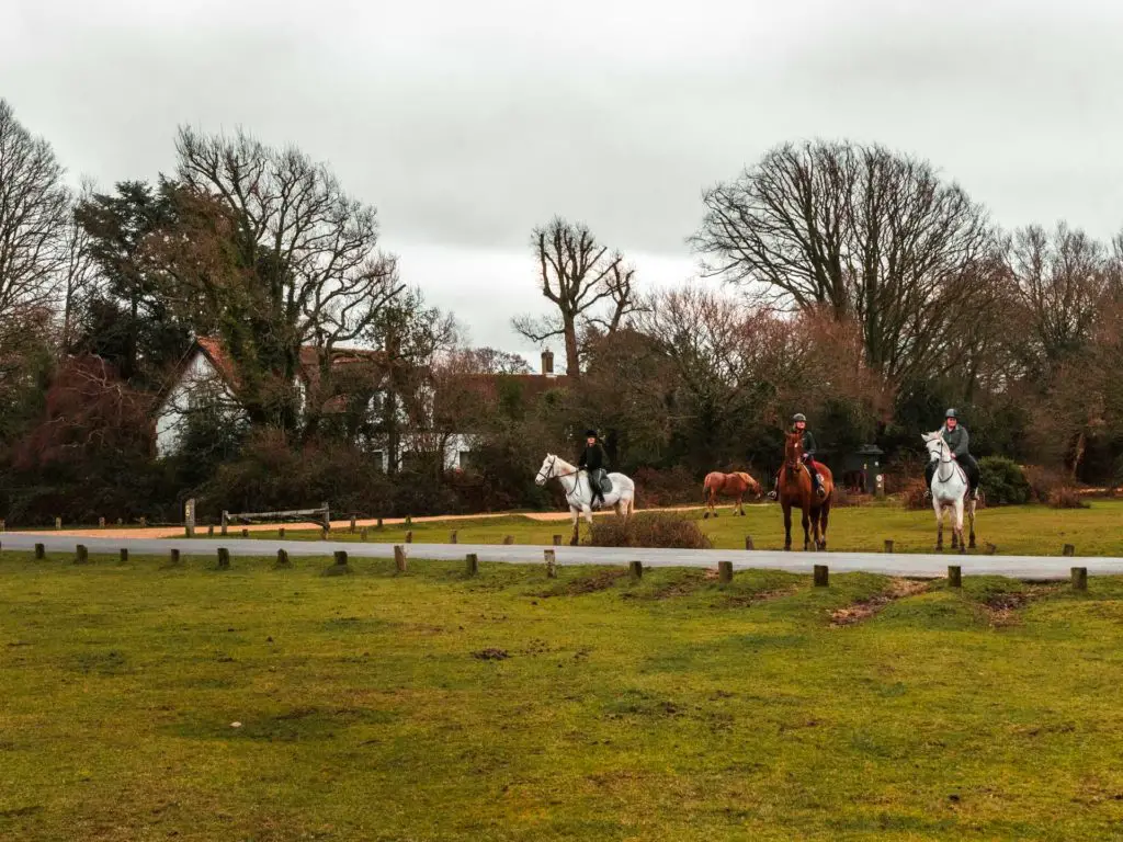 A green field next to the road and three horse riders on their horses on the other side of the road in the New Forest. Two of the horses are white and one is brown.