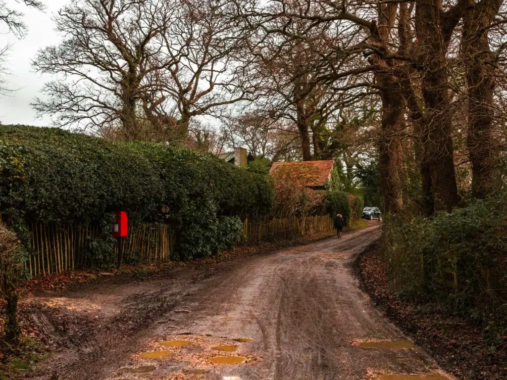 A dirt trail leading uphill with hedges and trees on either side on the circular walk around Brockenhurst village. 