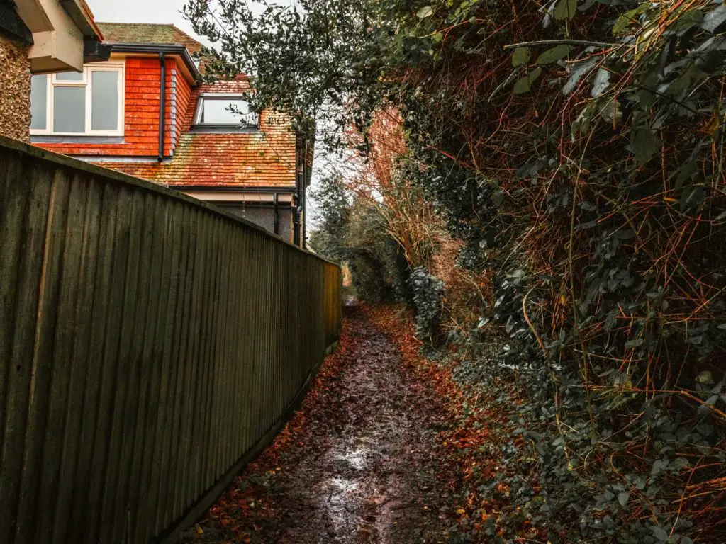 A first trail leading around the back of houses in Brockenhurst village towards the end of the walk. There is a fence and the roof of a house on the left and a green hedge on the right.