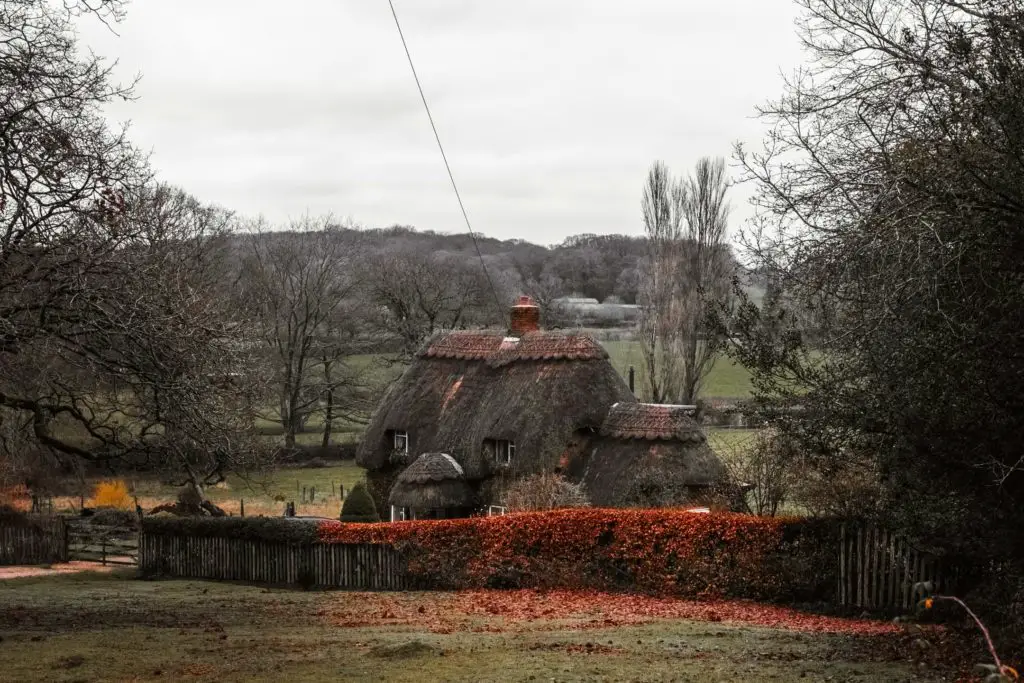 A thatched roof home along the Lyndhurst Parish circular walk. The home is surrounded by green fields and a fence with dark orange coloured leaves.