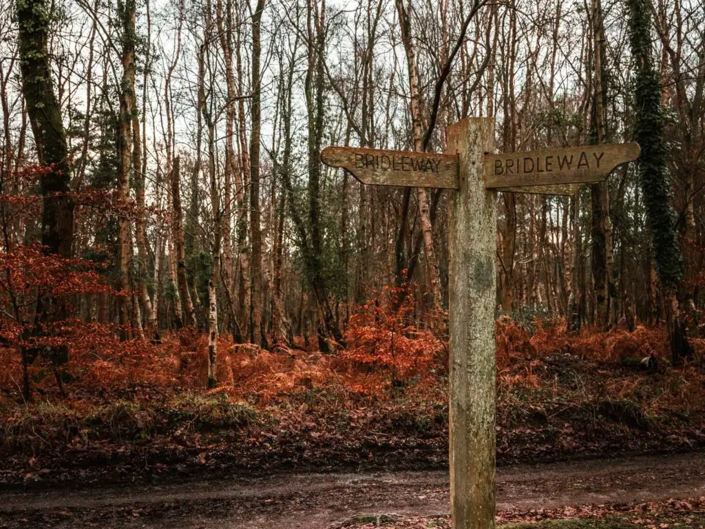 Signage in the New forest.