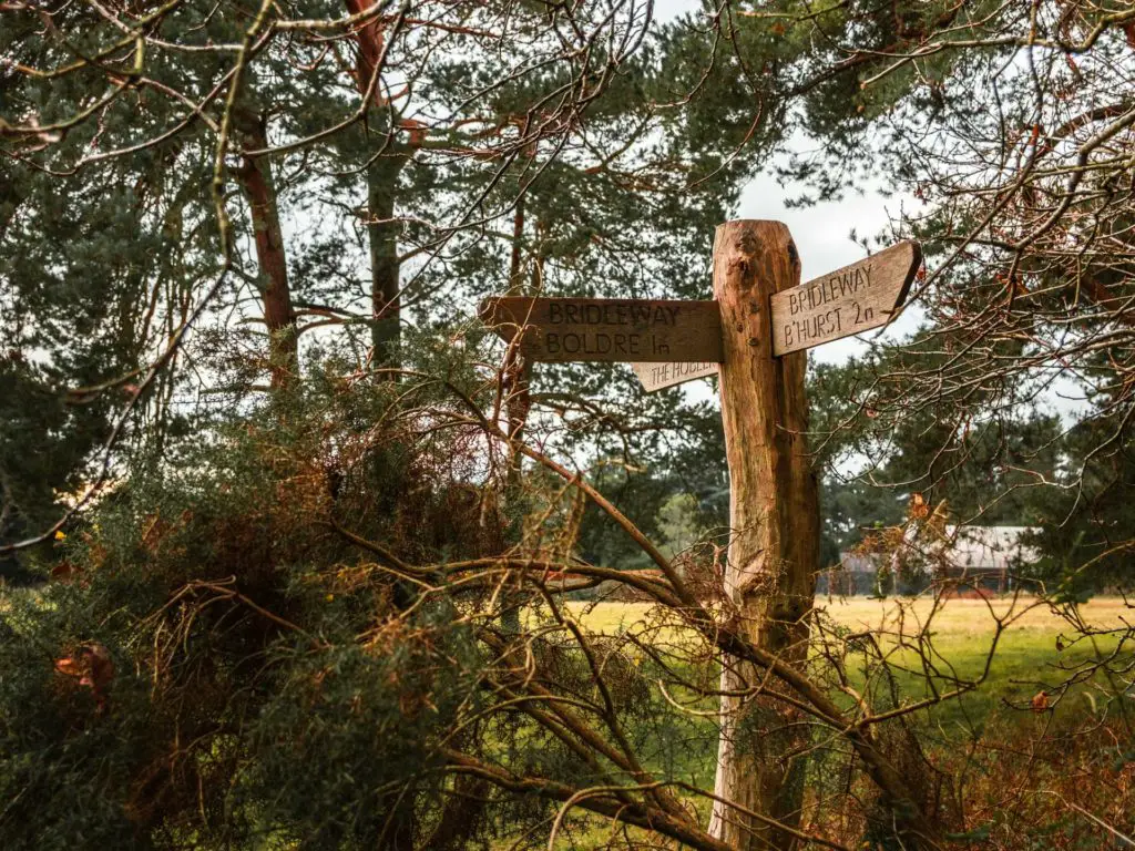 Signage in the New Forest nestled within bushes