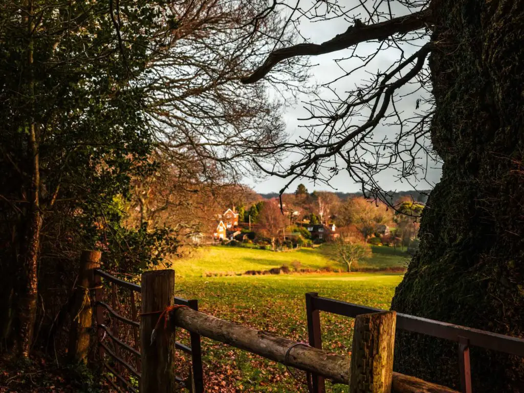 Looking through a gap in the trees to a green field and houses on the other side.