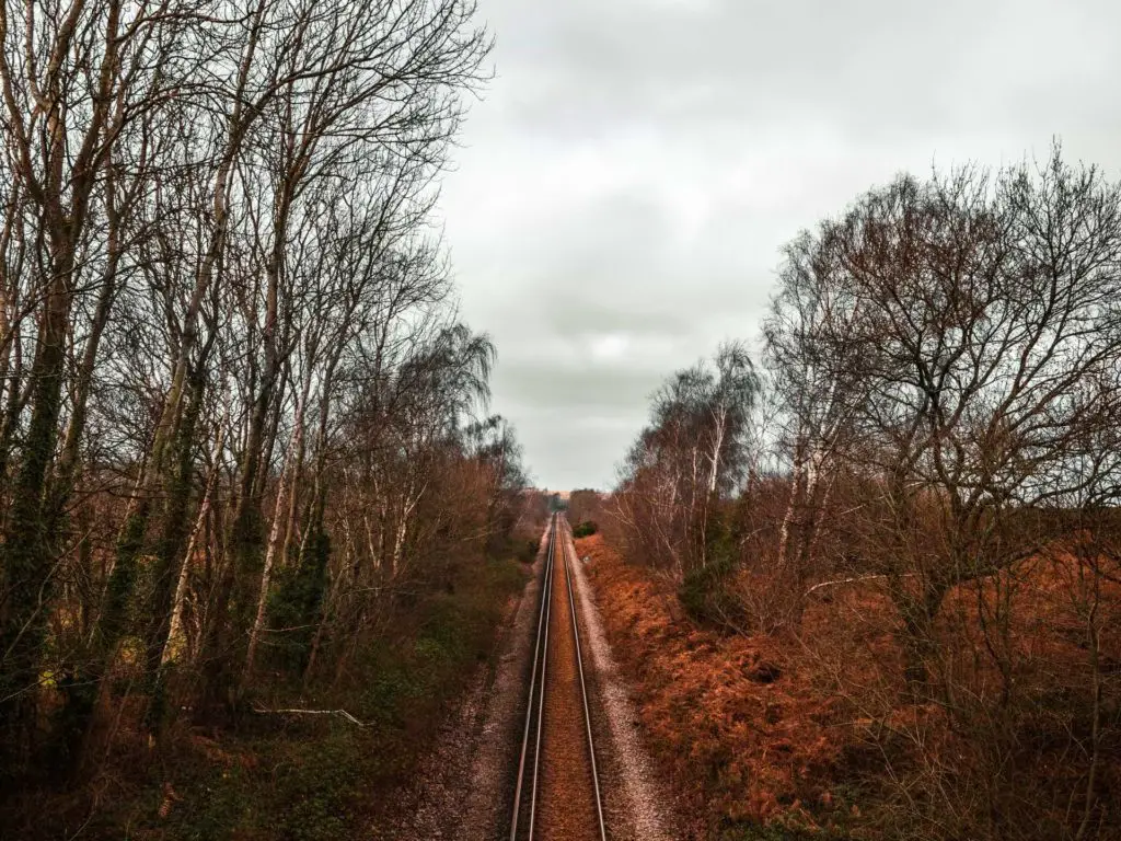 A view of a long train track from up high. There are bushes and trees on either side of the track.
