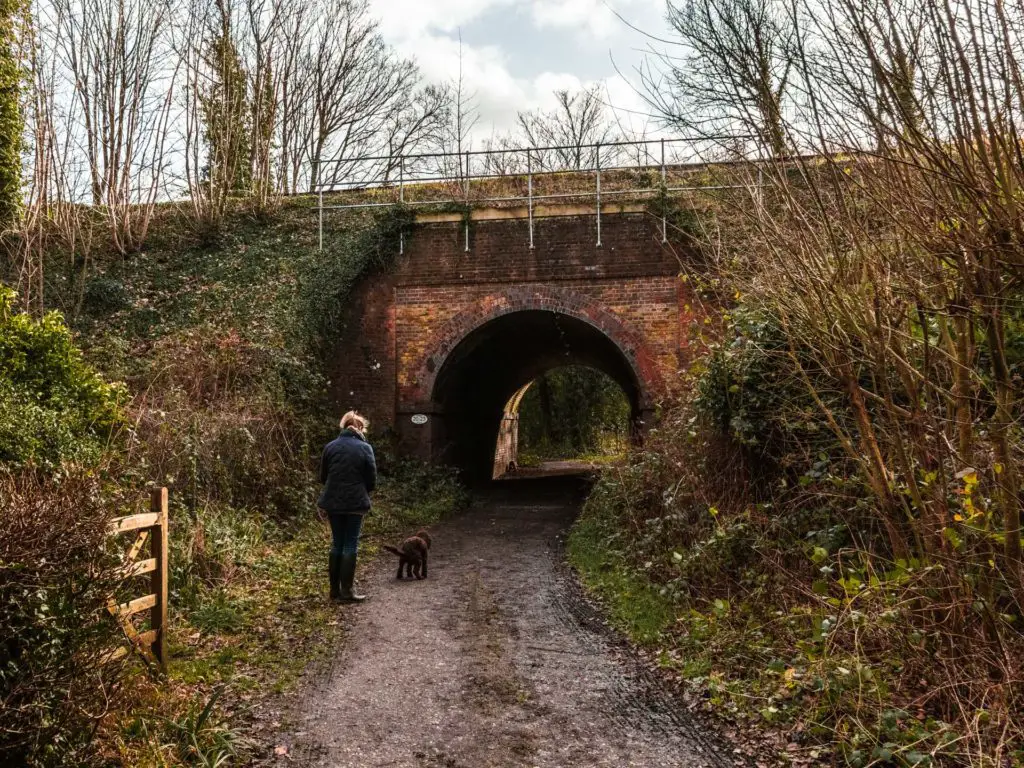 The trail running through a tunnel under a bridge. there is a woman and her dog next to the tunnel.