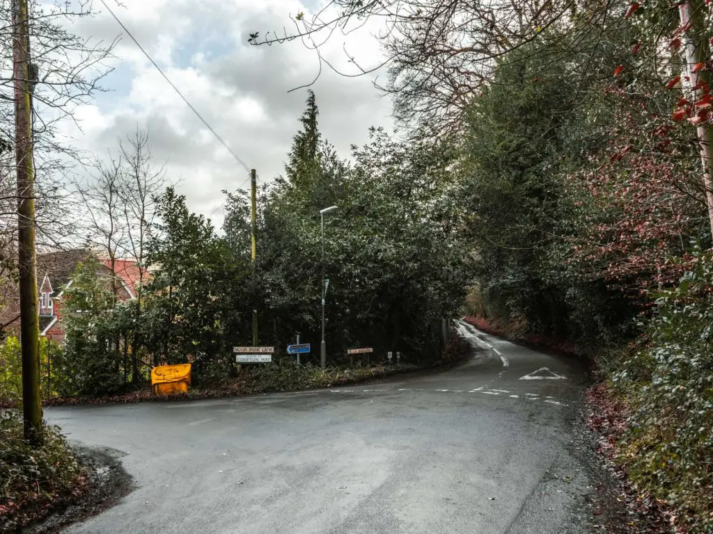 A road junction with lots of green bushes.